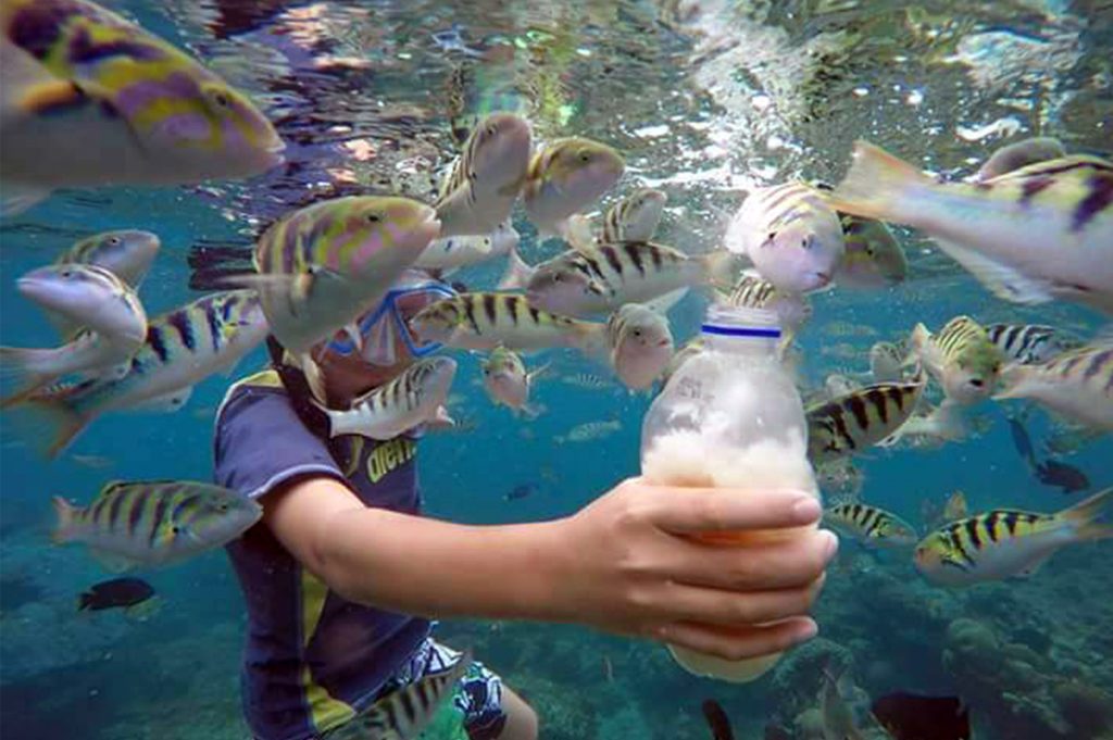 Snorkelen Bij Bloo Lagoon